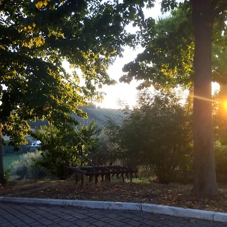 Bed & Breakfast Il Mandorlo 3*